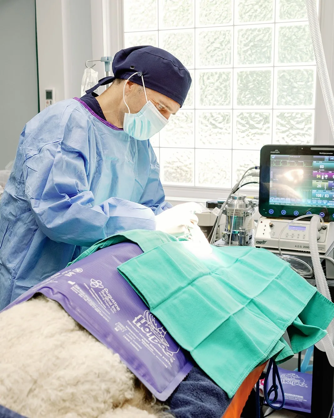A Noah's Ark surgeon operating on a draped patient with anaesthetic monitoring alongside