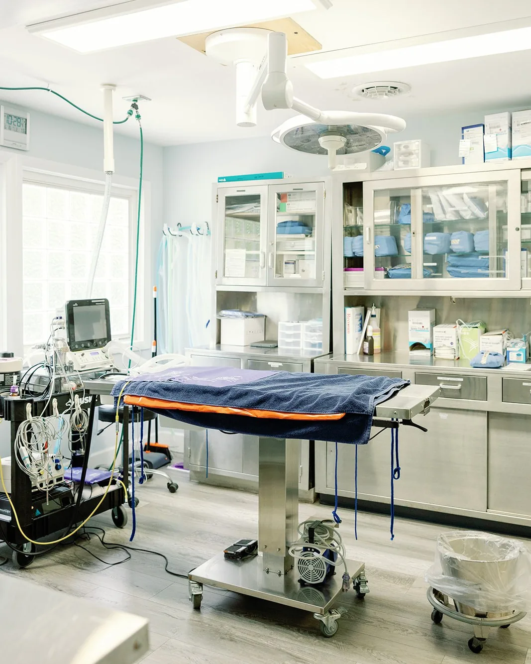 The Noah’s Ark surgical suite, prepped and ready for the day