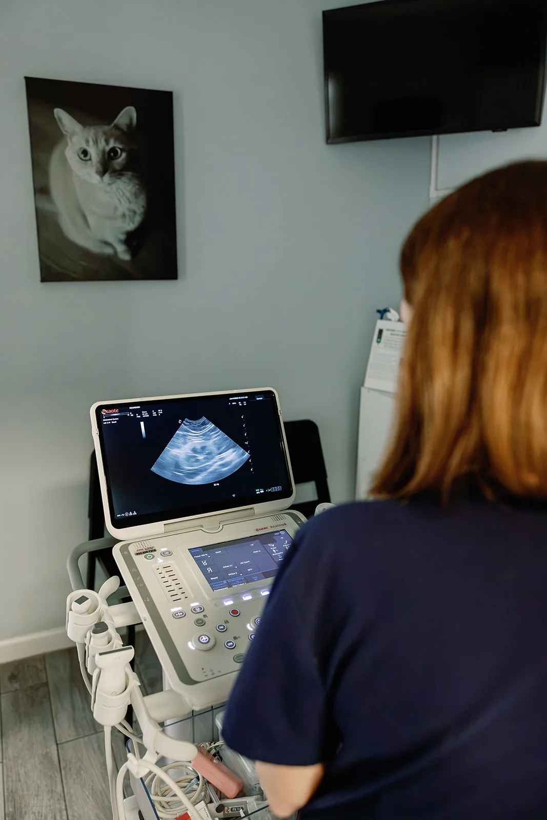 A technician reviewing an ultrasound scan in the Noah's Ark imaging room