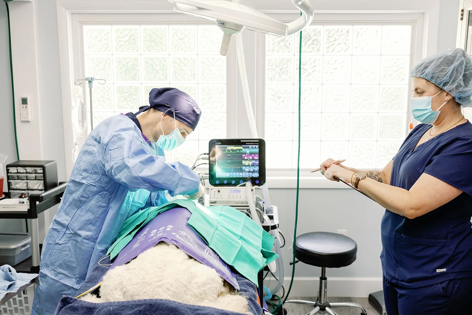 A Noah's Ark veterinarian in surgical gown and mask operating while a nurse monitors the patient's vitals