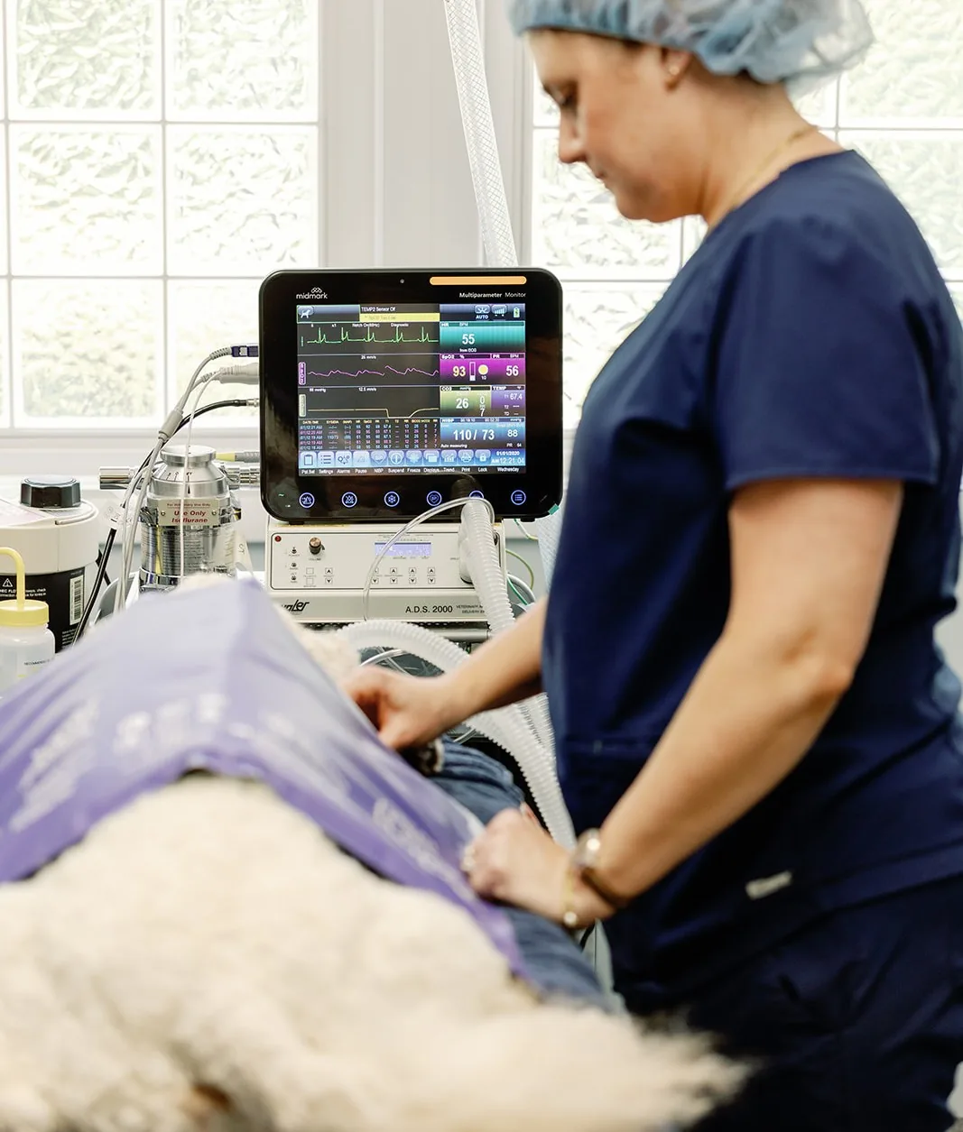 A technician tending a patient under a warming blanket while the anaesthetic monitor tracks vitals