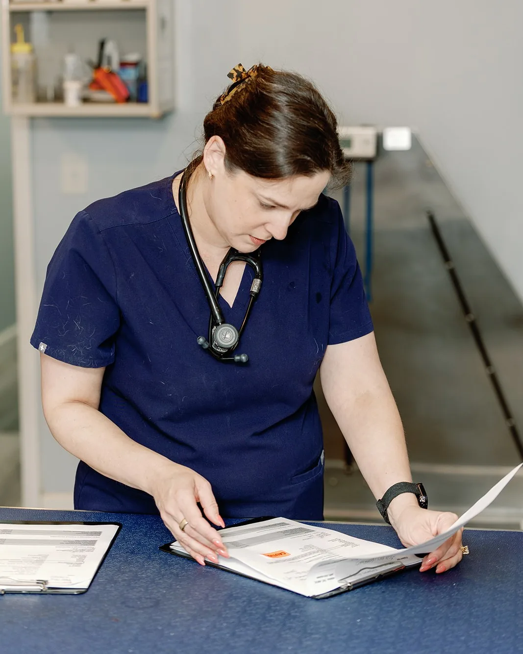 A Noah's Ark veterinarian reviewing a patient's chart in the treatment area